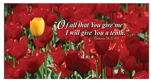 Offering Envelope-Tulips (4 Color) (Genesis 28:22) (Bill-Size) (Pack Of 100) (Pkg-100)