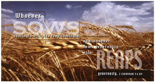 Offering Envelope-Wheat Field (4 Color) (2 Corinthians 9:6 NIV) (Bill-Size) (Pack Of 100) (Pkg-100)