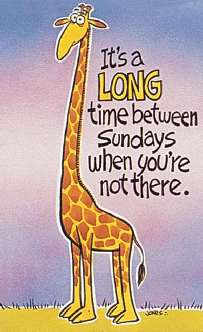 Postcard-It's Been Long A Time Between Sundays/Giraffe (Matthew 5:6 KJV) (Pack of 25) (Pkg-25)