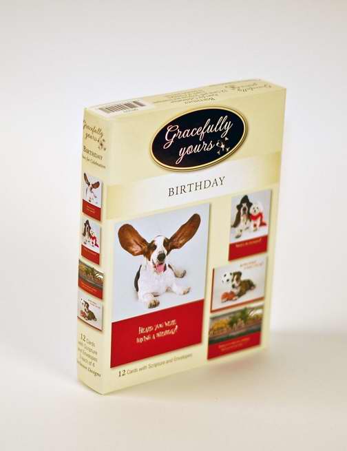 Card-Boxed-Birthday-Paws For Celebration #209 (Box Of 12) (Pkg-12)