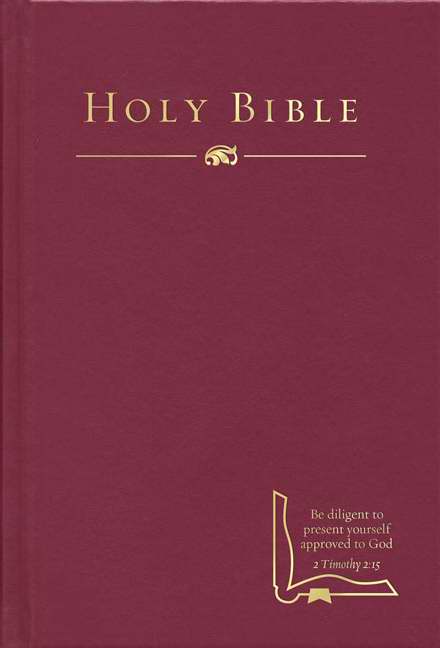 HCSB Drill Bible-Burgundy Hardcover