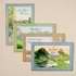 Card-Boxed-Get Well-Waters Of Life (Box Of 12) (Pkg-12)
