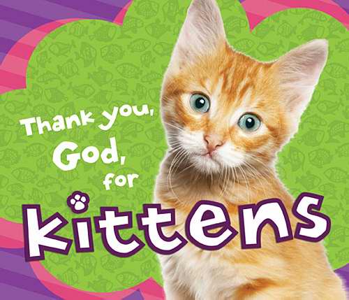 Thank You God For Kittens