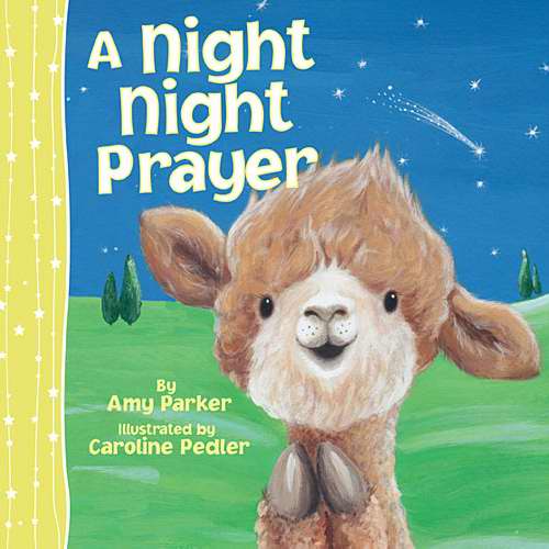 Night Night Prayer-Board Book