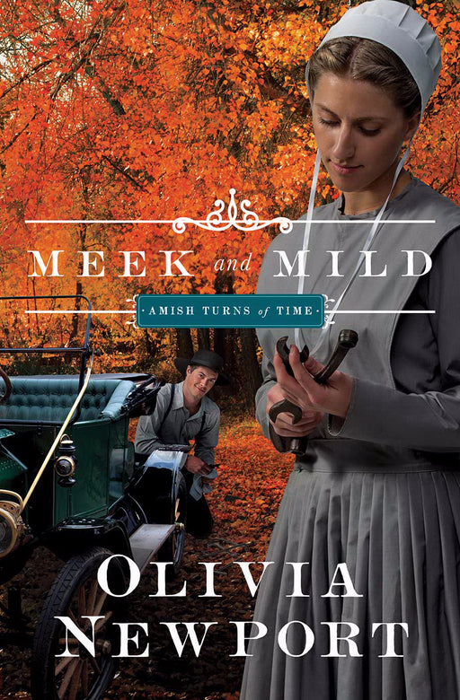 Meek And Mild (Amish Turns Of Time V2)