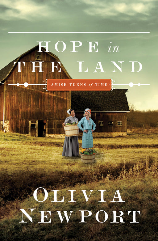 Hope In The Land (Amish Turns Of Time V4)
