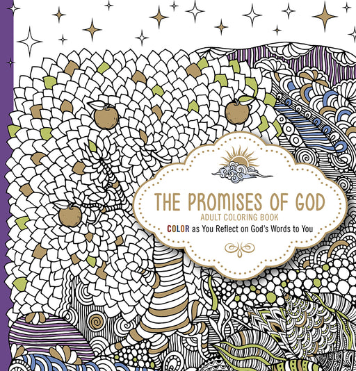 Promises Of God Adult Coloring Book