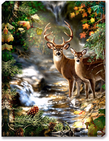 Mounted Print-Deer Creek (Backlit Print) (18" x 24")