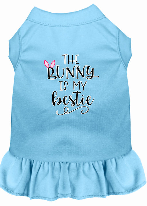 Bunny is my Bestie Screen Print Dog Dress Baby Blue XS (8)