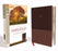 Amplified Study Bible (Revised)-Brown LeatherSoft