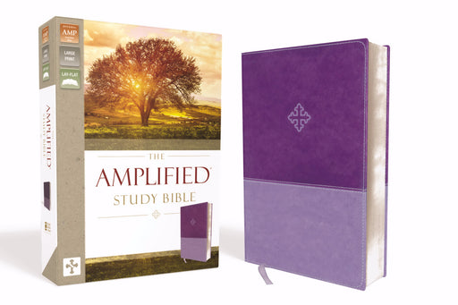 Amplified Study Bible (Revised)-Purple LeatherSoft