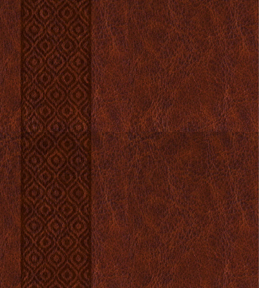 KJV Expressions Bible-Deluxe Brown Hardcover