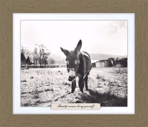 Framed Art-Beauty Means Being Yourself (Donkey) (27.5 x 23.5)