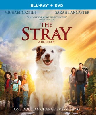 DVD-The Stray (DVD/Blu-Ray Combo)