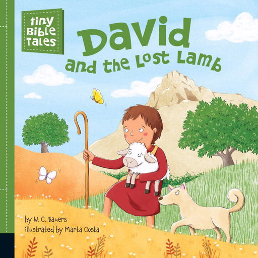 David And The Lost Lamb (Tiny Bible Tales)