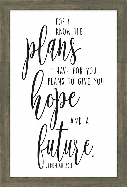 Framed Plaque-For I Know The Plans (Simple Scripture Collection) (13 x 19)