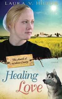 Healing Love (Amish of Webster County V1)