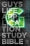 NLT2 Guys Life Application Study-SC (Mar)