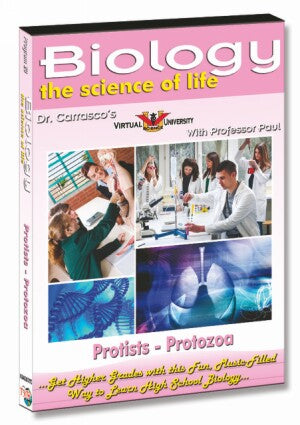 Protists - Protozoa
