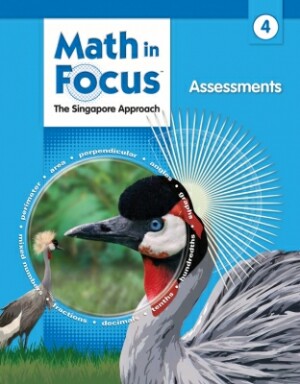 Math In Focus Grade 4 Assessments: The Singapore Approach