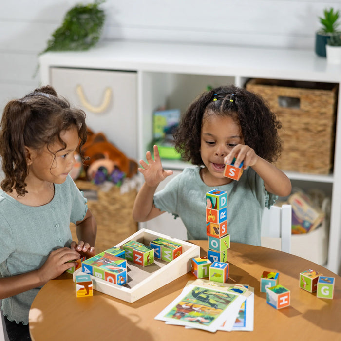 National Parks Wooden Blocks & Cube Puzzle