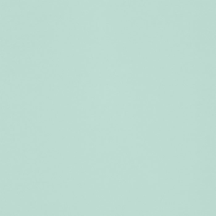 Schoolgirl Style Bulletin Board Paper, 48" x 50', Mint to Be