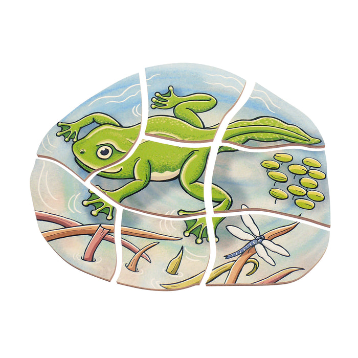 Beleduc - Layer Puzzle Frog