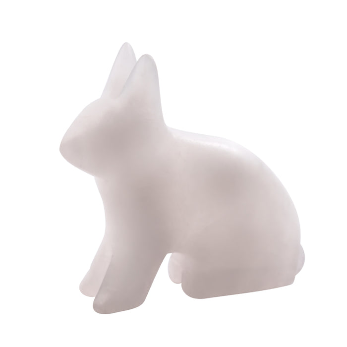 Arctic Hare Alabaster Carving Kit