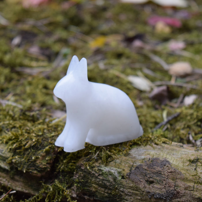 Arctic Hare Alabaster Carving Kit