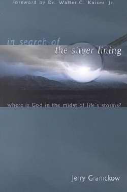 In Search Of The Silver Lining