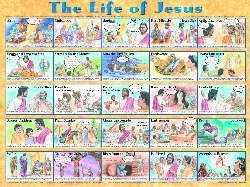Chart-Life Of Jesus Wall (Laminated Sheet) (19" x 26")