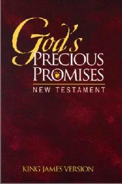 KJV God's Precious Promises New Testament-Burgundy Softcover