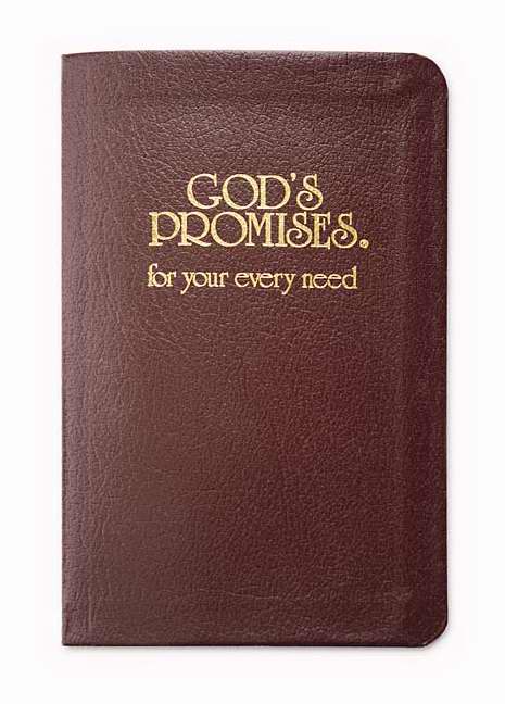 God's Promises For Your Every Need-Burgundy Bonded Leather