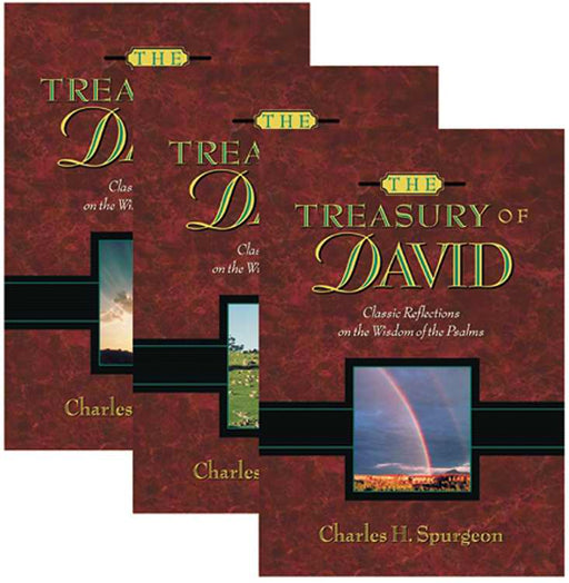 Treasury Of David 3V (Value Price)