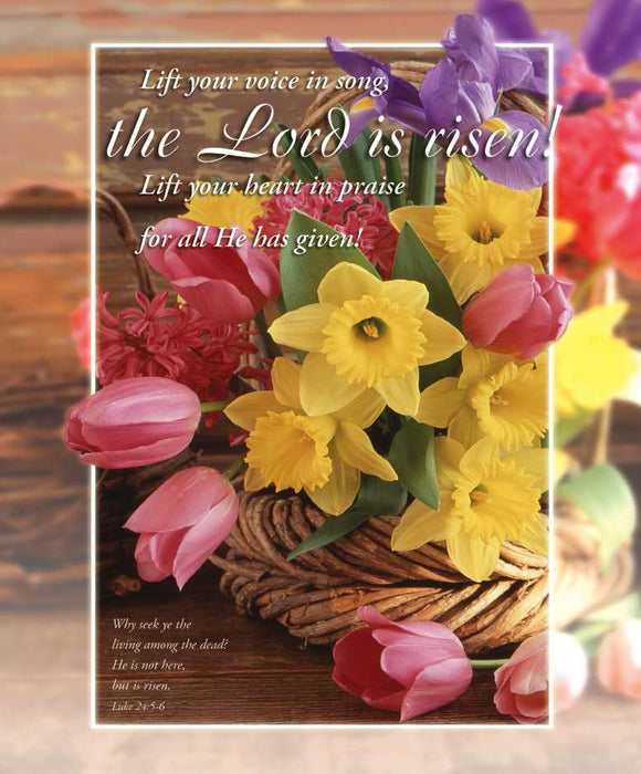 Bulletin-Easter: Lord Is Risen! (Luke 24:5-6)-Legal Size (Pack Of 100) (Pkg-100)