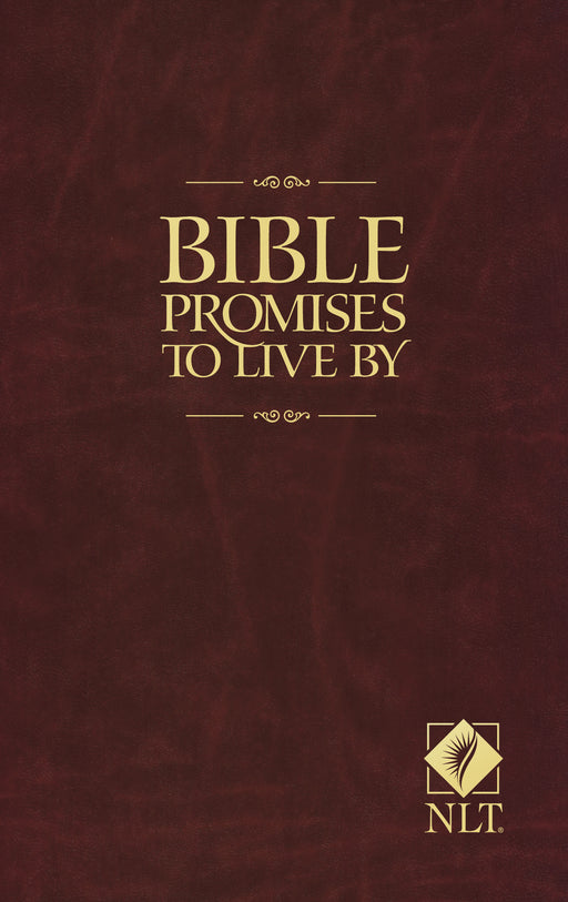Bible Promises To Live By (NLT2)