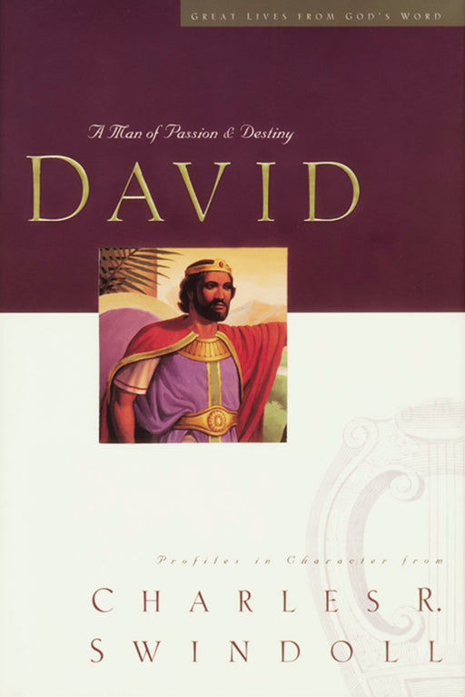 David: Man Of Passion & Destiny Large Print (Great Lives)
