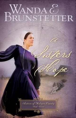 A Sister's Hope (Sisters Of Holmes County #3)-Softcover