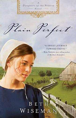 Plain Perfect (Daughters Of The Promise Novel)-Softcover