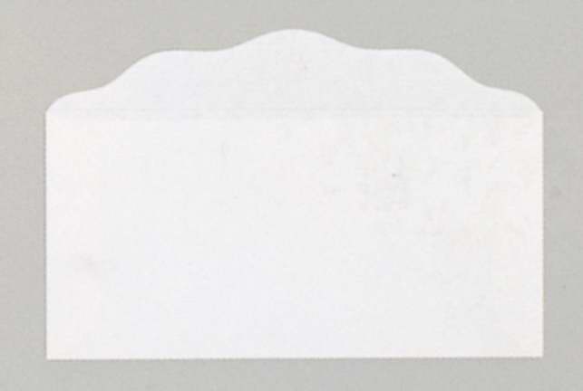 Offering Envelope-Blank (Bill-Size)-White (Pack Of 100) (Pkg-100)