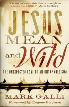 Jesus Mean And Wild