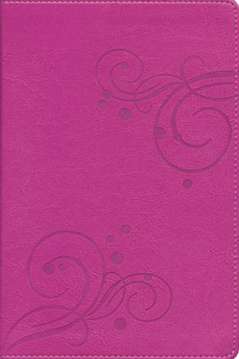 Span-NIV New Gift Bible-Pink/Pink DuoTone