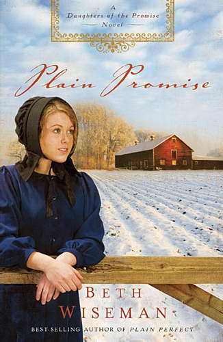 Plain Promise (Daughters Of The Promise Novel)-Softcover
