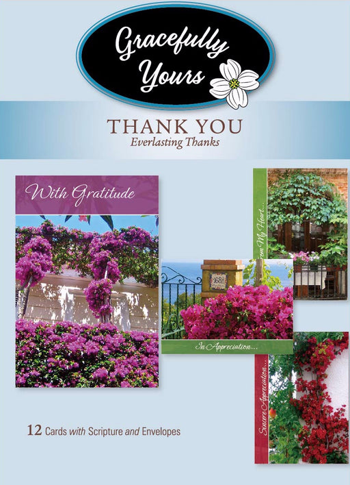 Card-Boxed-Thank You-Everlasting Thanks #229 (Box Of 12) (Pkg-12)