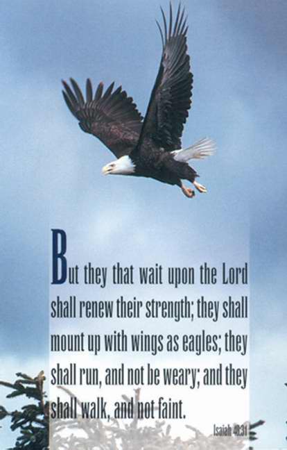 Postcard-Eagle (Isaiah 40:31 KJV) (Pack of 25) (Pkg-25)