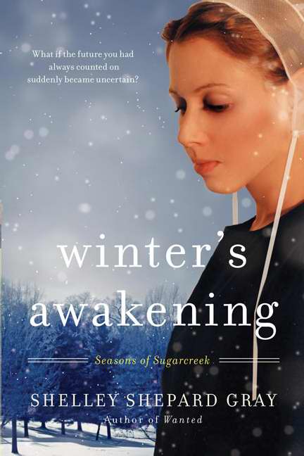 Winter's Awakening (Seasons Of Sugarcreek V1)