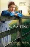 Waiting (Lancaster County Secrets Book 2)