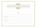Certificate-Recognition w/Gold Foil Embossing (8-1/2" x 11) (Pack of 6) (Pkg-6)