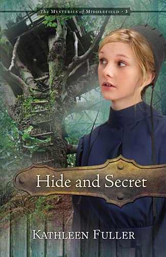 Hide And Secret (Mysteries Of Middlefield V3)