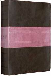 ESV Study Bible-Chocolate/Rose TruTone